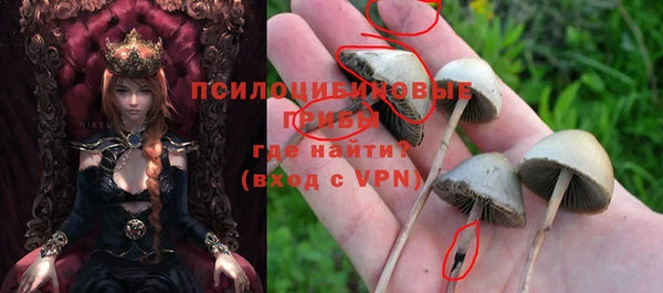 гидра Балабаново
