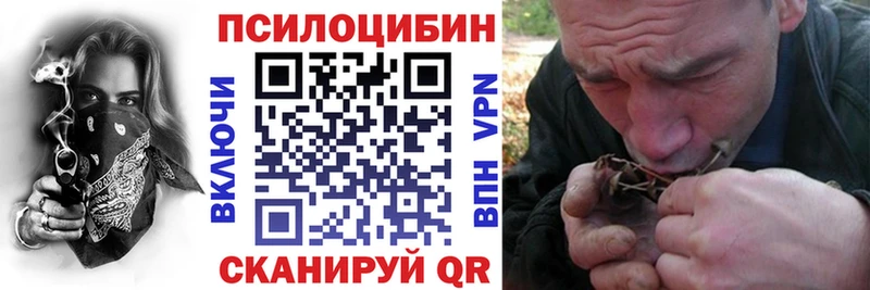 Псилоцибиновые грибы Cubensis Кувандык