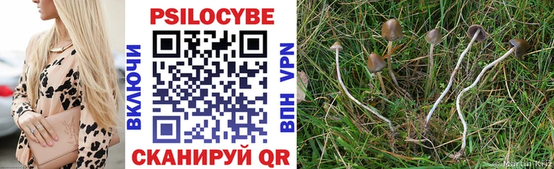 Псилоцибиновые грибы прущие грибы Кувандык